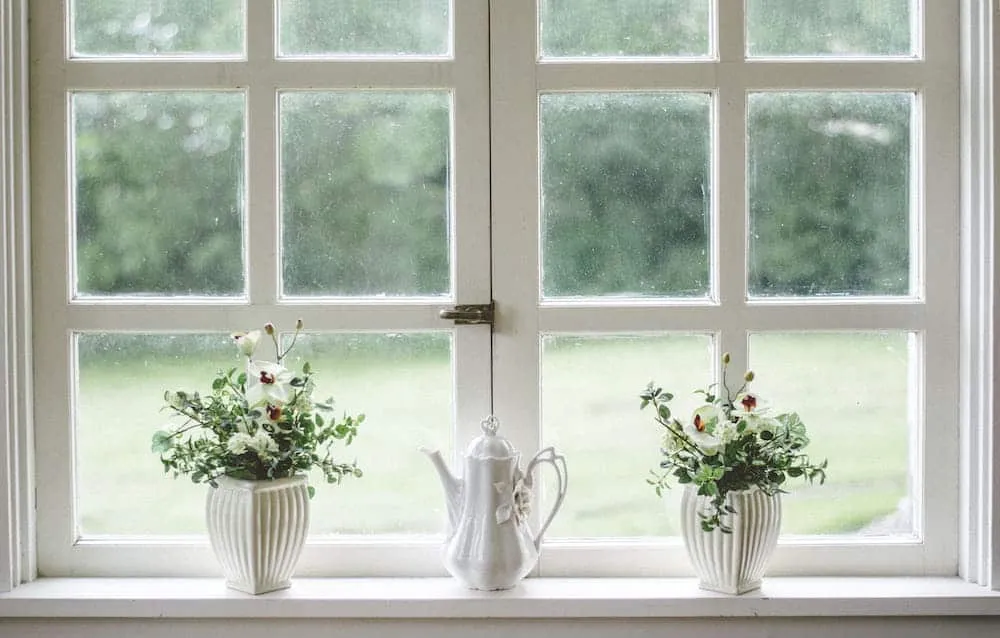 A white-framed window with potted flowers on the sill