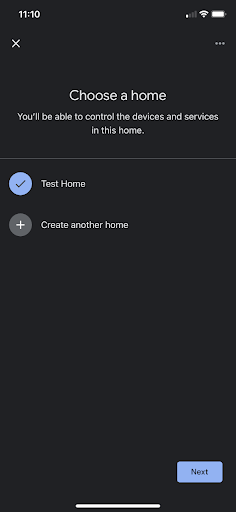 Google Home app choose a home screen
