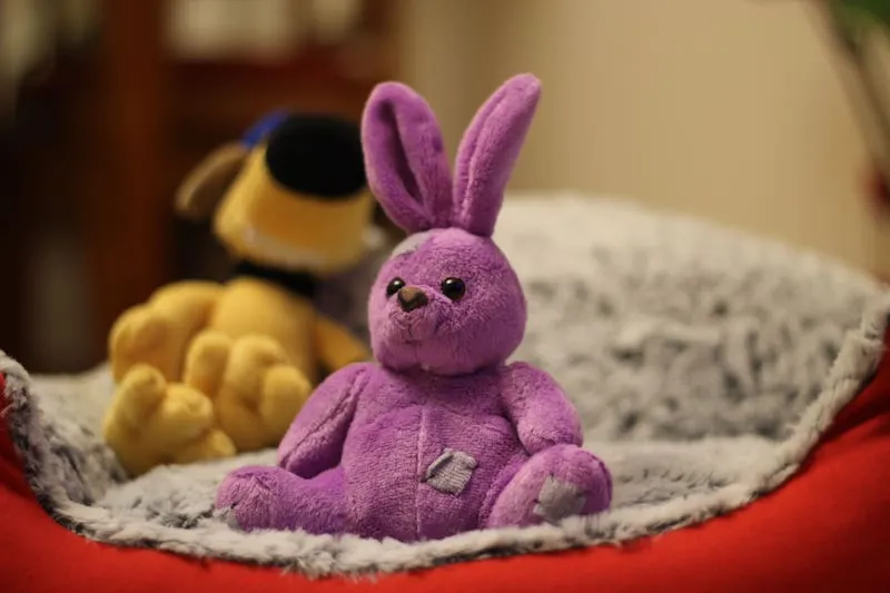 a pink plush bunny