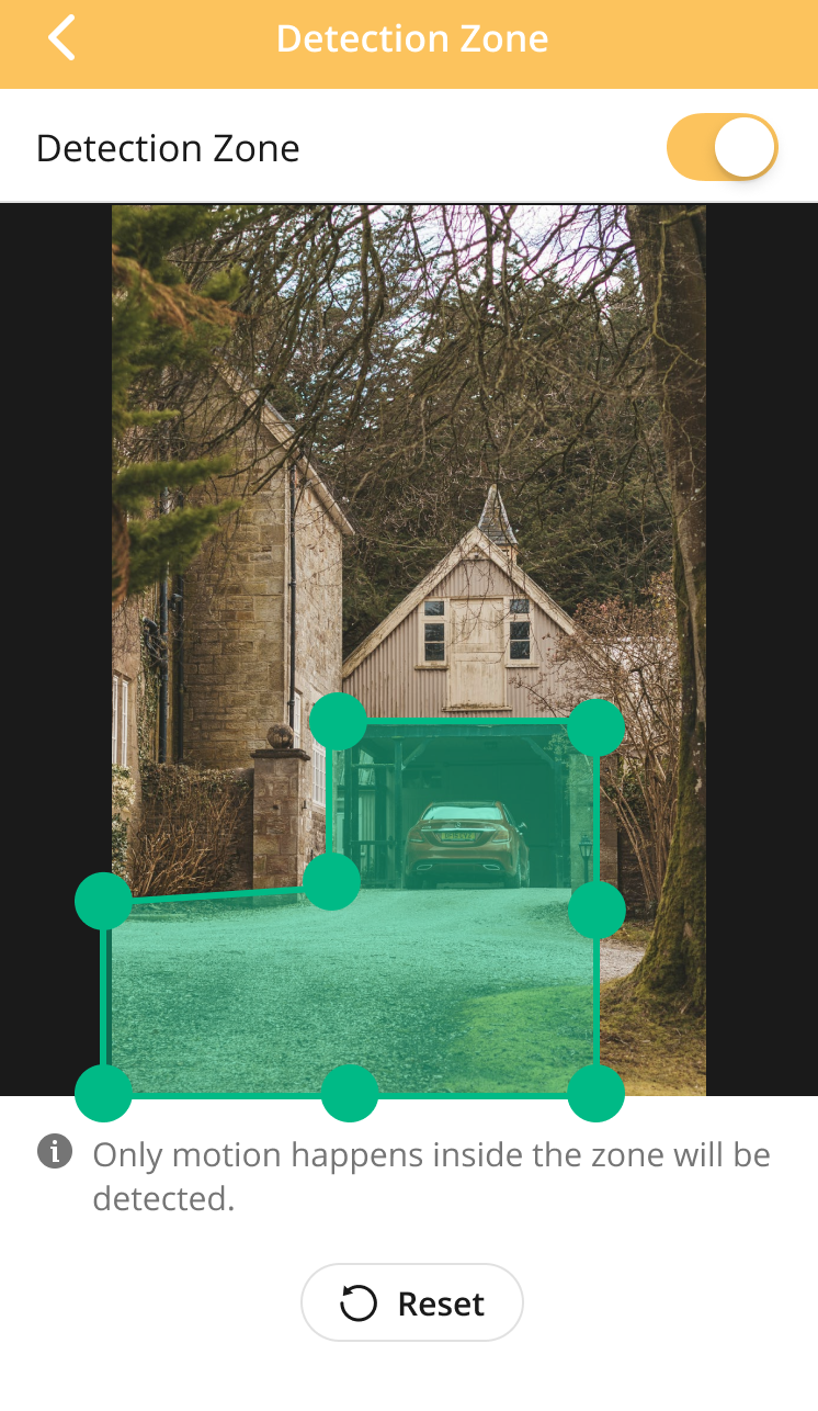 AlfredCamera Detection Zone screen with a green box drawn over a driveway