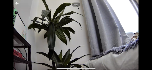 Kasa Spot Pan Tilt Quality Test with 1080p livestream.