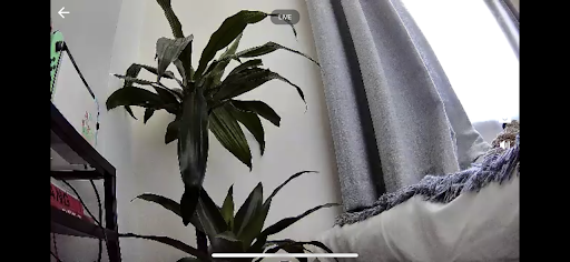 Kasa Spot Pan Tilt Quality Test with 360p livestream.
