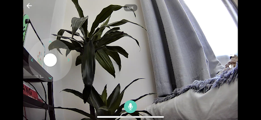 Kasa Spot Pan Tilt Quality Test with 720p livestream.