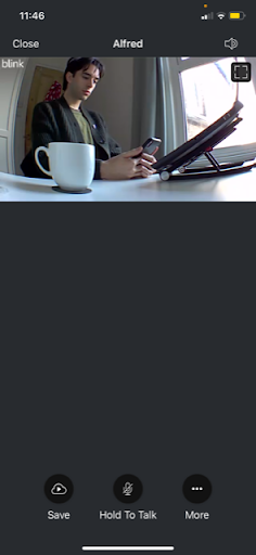 Blink app camera feed screenshot