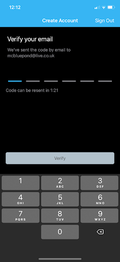 Blink App screenshot - verify email