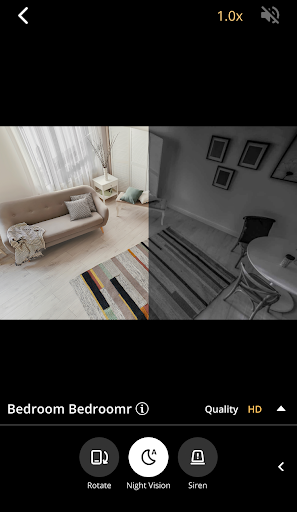 AlfredCamera live view of a living room, split between the normal image and night vision.