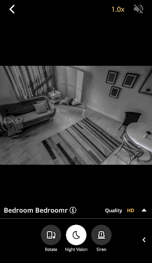 AlfredCamera live view of a living room in full black and white night vision.