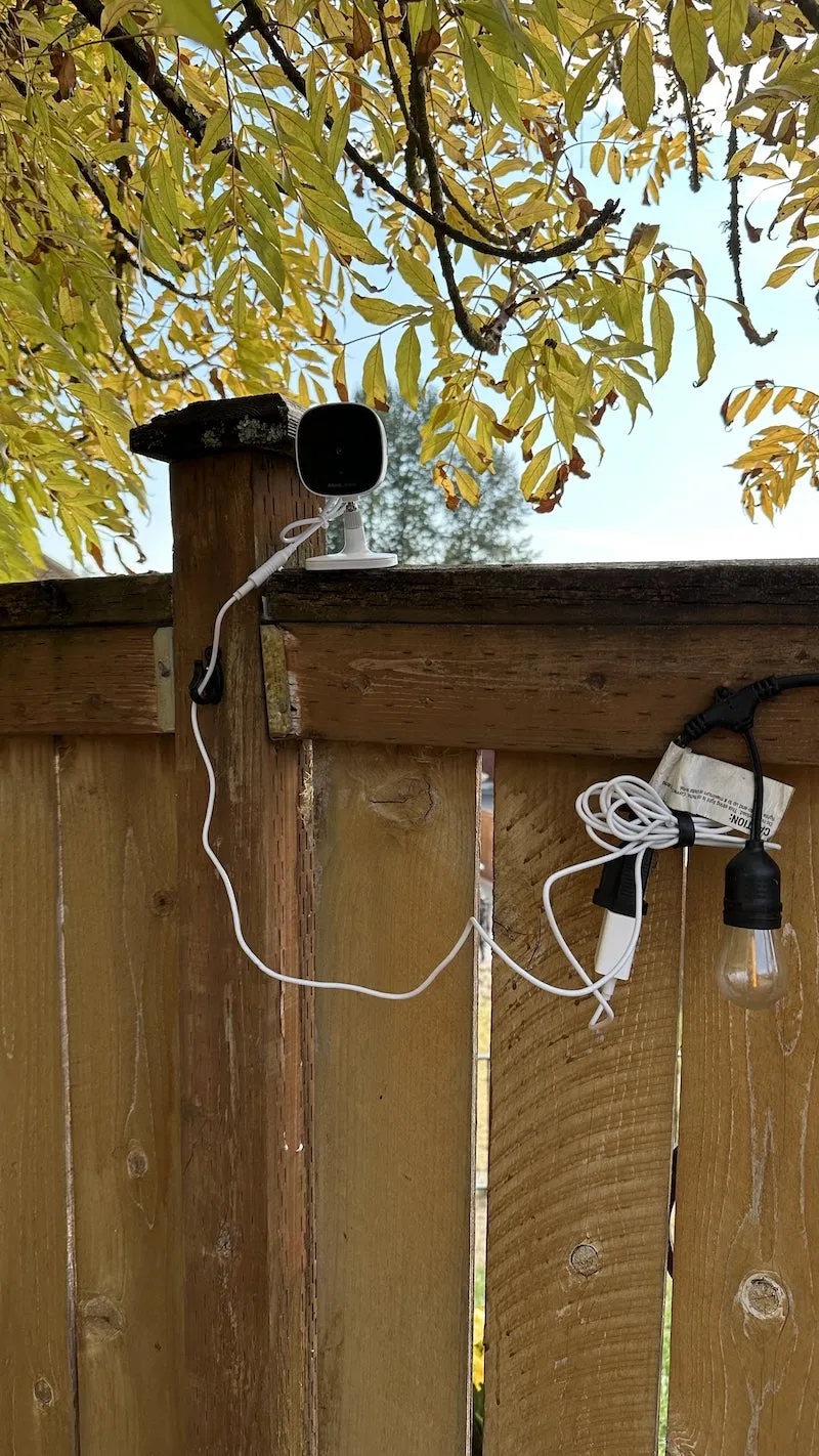 AlfredCam Plus standing on a wooden fence post with its cable running down the post.