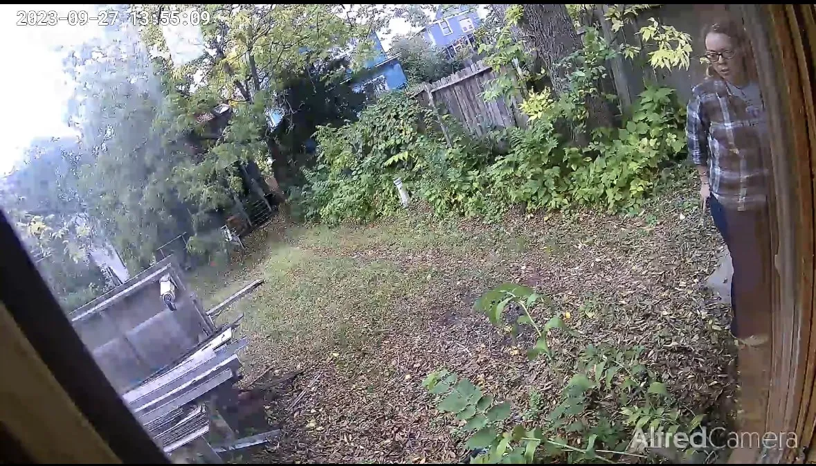 AlfredCam Plus view of a backyard with a person standing at the door.