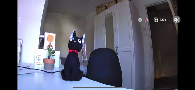 AlfredCam Plus livefeed showing a footage of a stuffed cat on a white table.
