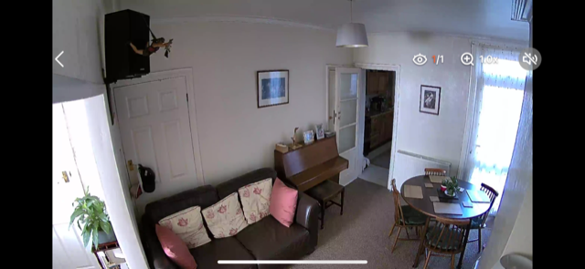 AlfredCam Plus live feed livingroom.