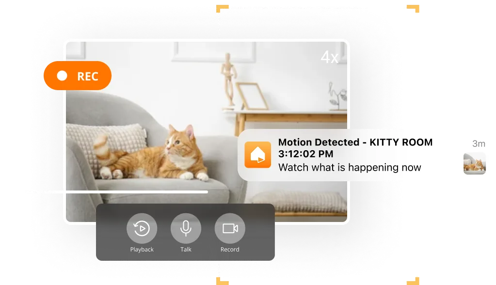 alfredcamera app interface design, a cat in the background